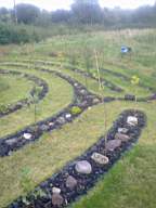 carrowcrory 7085.jpg